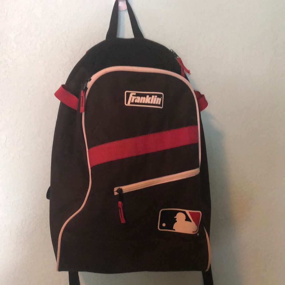 Franklin Bat Bag